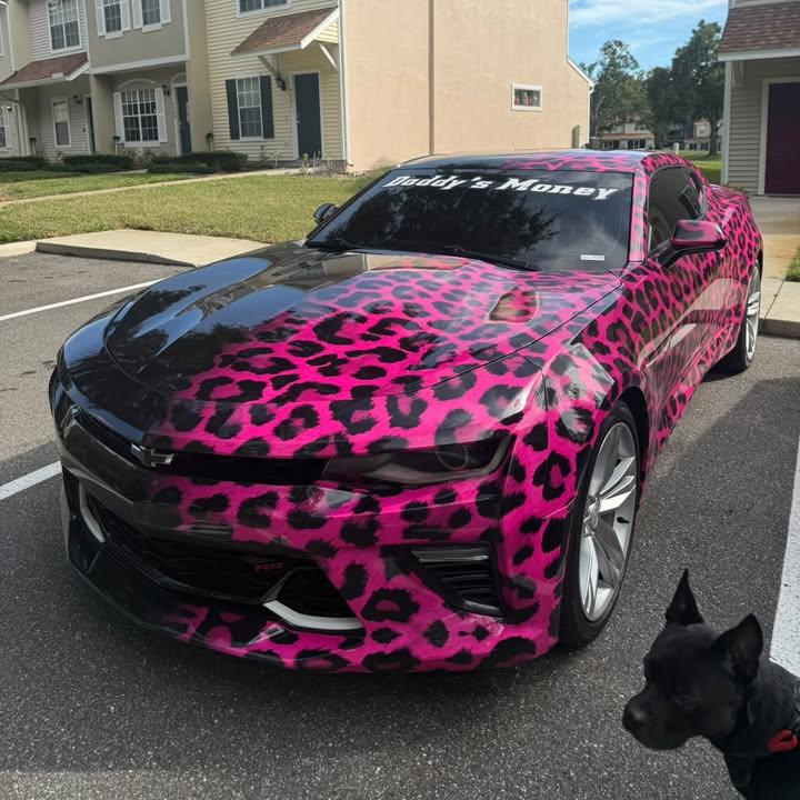 leopard print wrap